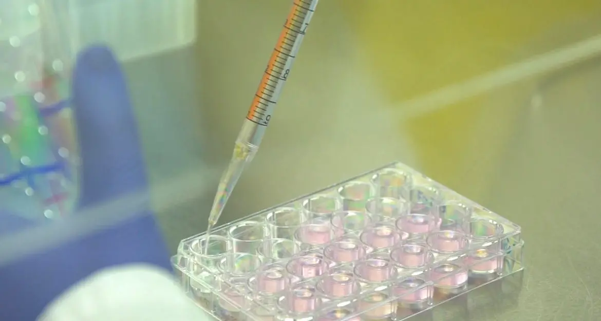 Coronavirus, ottavo giorno senza vittime in Trentino, solo 46 i nuovi contagi