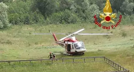 Scompare bimbo di 21 mesi nel Mugello: le ricerche nei boschi
