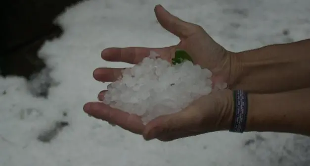 Nuova allerta gialla della Protezione civile in Trentino: in arrivo tempeste con rischio grandine