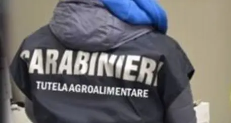 Salumi senza etichette, i carabinieri ne sequestrano 7 tonnellate a Trento