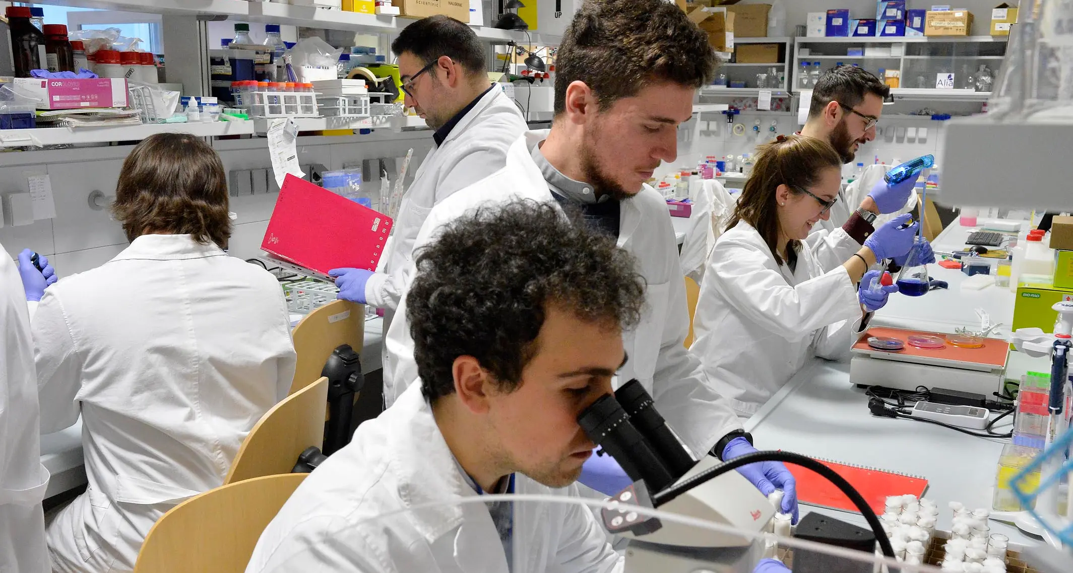 Tumore pediatrico al cervello, a Trento individuata la cellula da cui “nasce”