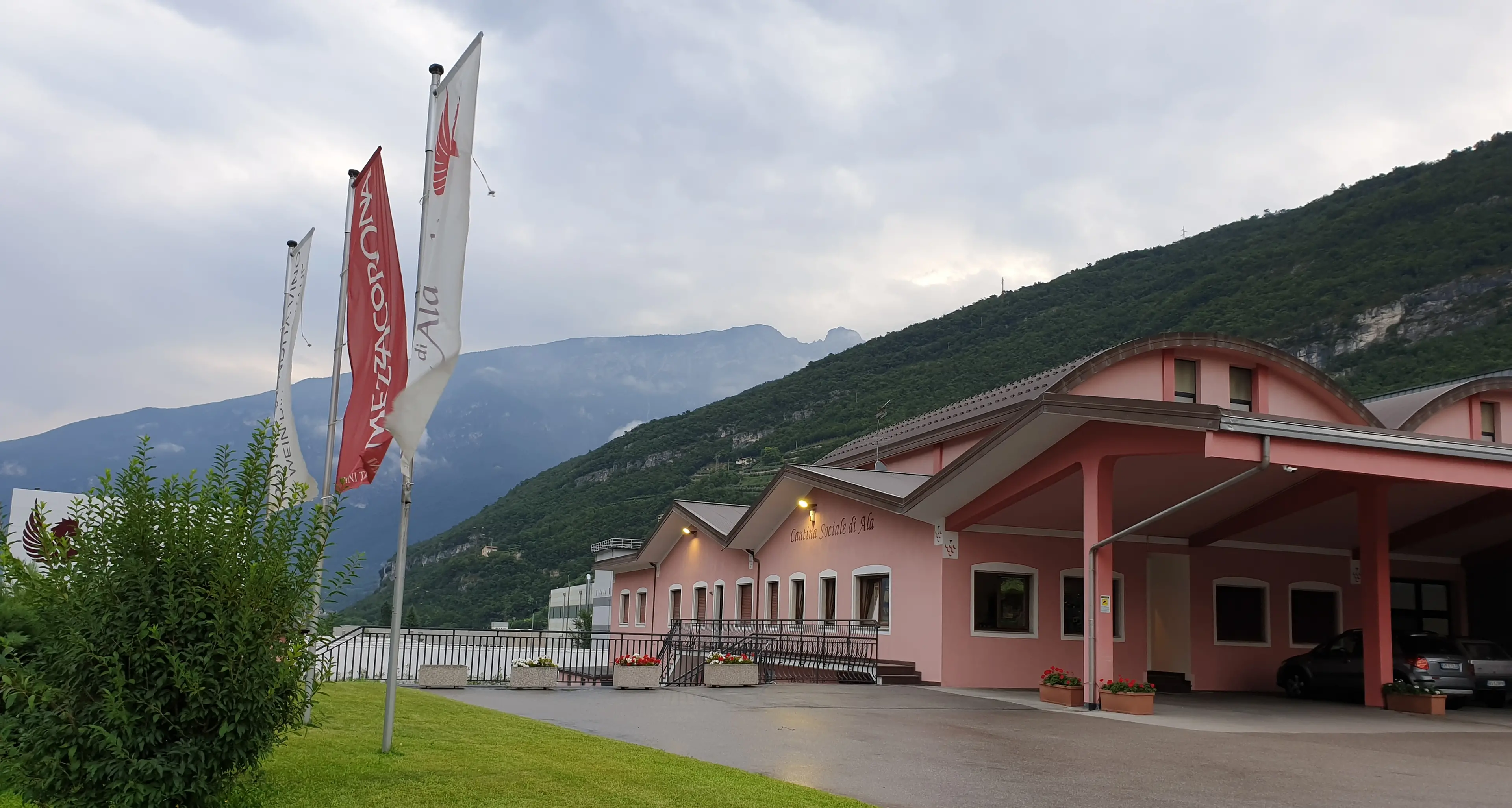 Cantina sociale di Ala, un’ottima annata nonostante la pandemia