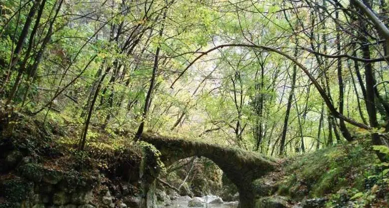 Uomo senza vita ritrovato vicino alla forra del torrente Sorna
