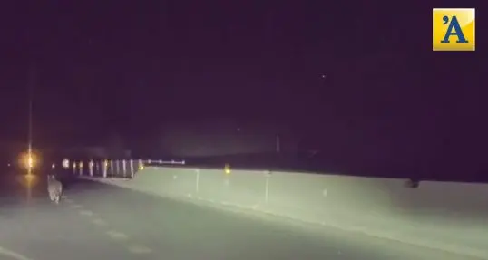 Il lupo scende a valle: a passeggio lungo la Gardesana