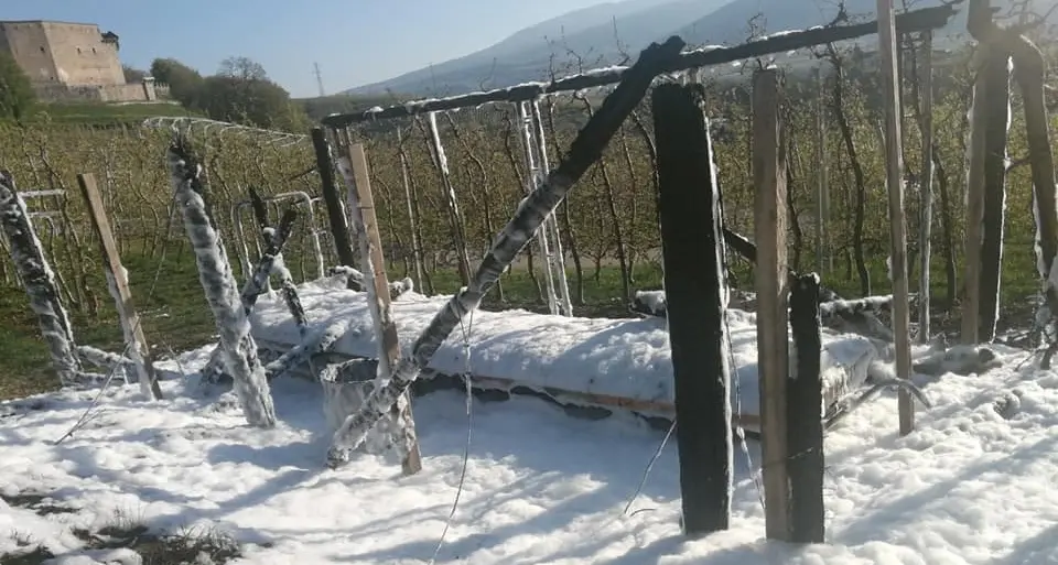 Il portone della chiesa e la scuola materna attaccati dai vandali: allarme a Campodenno