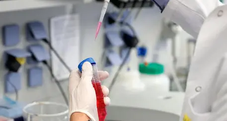 Coronavirus: in Trentino 744 contagi, aumentano i rocoverati
