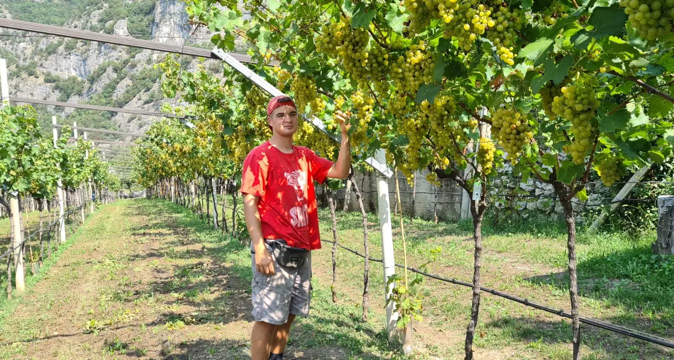 Davide Battisti, a 20 anni dall’industria alla viticoltura: «Importante l’equilibrio tra vita e azienda»