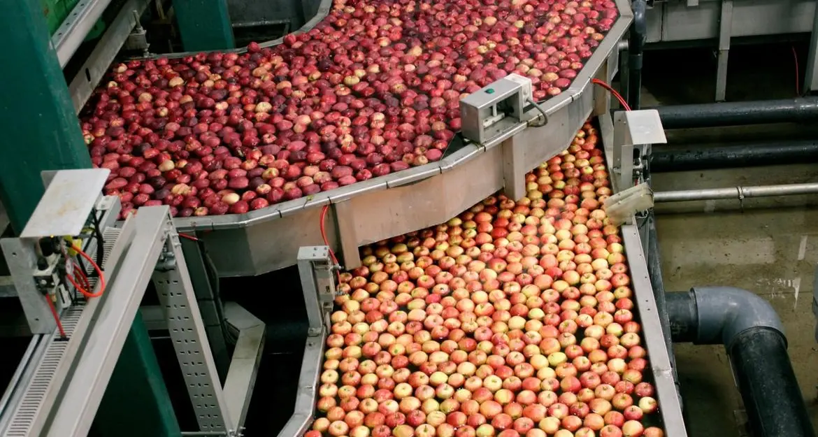 Bandi per 12 milioni di euro per l’innovazione nella trasformazione dei prodotti agricoli trentini