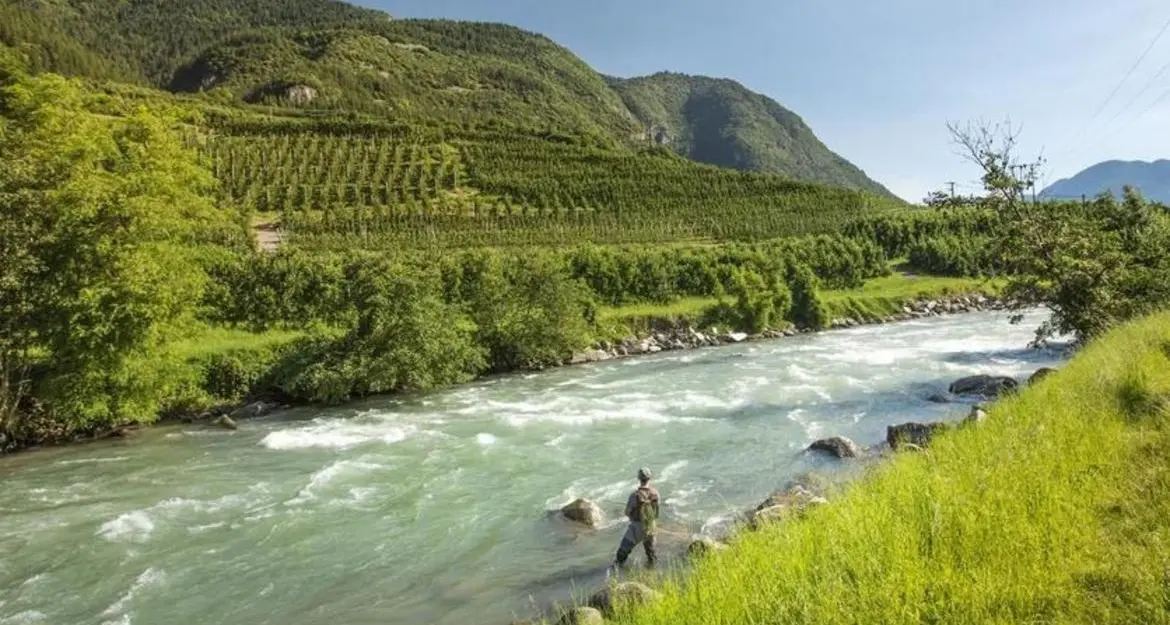 Pesca in Trentino con nuove norme. Sostituito il vecchio regolamento che risaliva al 1979