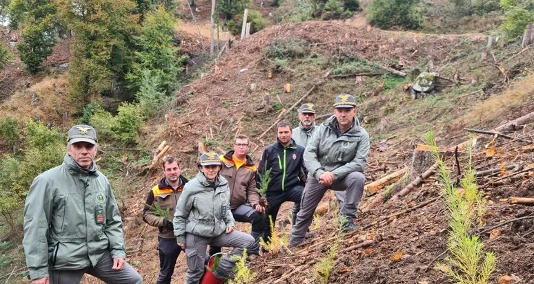 Dopo Vaia e bostrico, avanza la ricostruzione dei boschi trentini