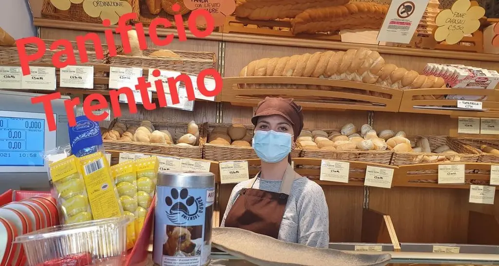 Dopo il furto del salvadanaio per “Zampa Trentina”, una catena di solidarietà ha portato ad un piccolo tesoro
