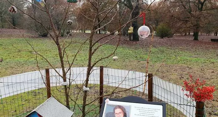 Sara Pedri, per Natale l’albero in sua memoria \"si veste a festa\"