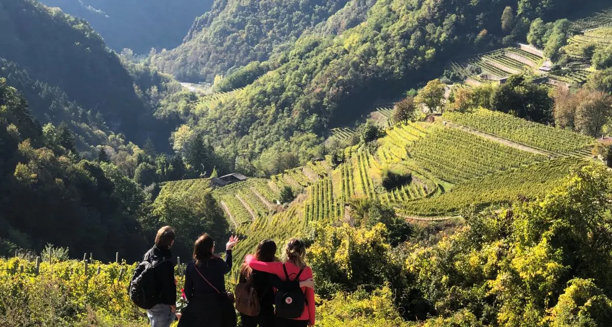 DiVin Ottobre, un weekend con i migliori vini del Trentino