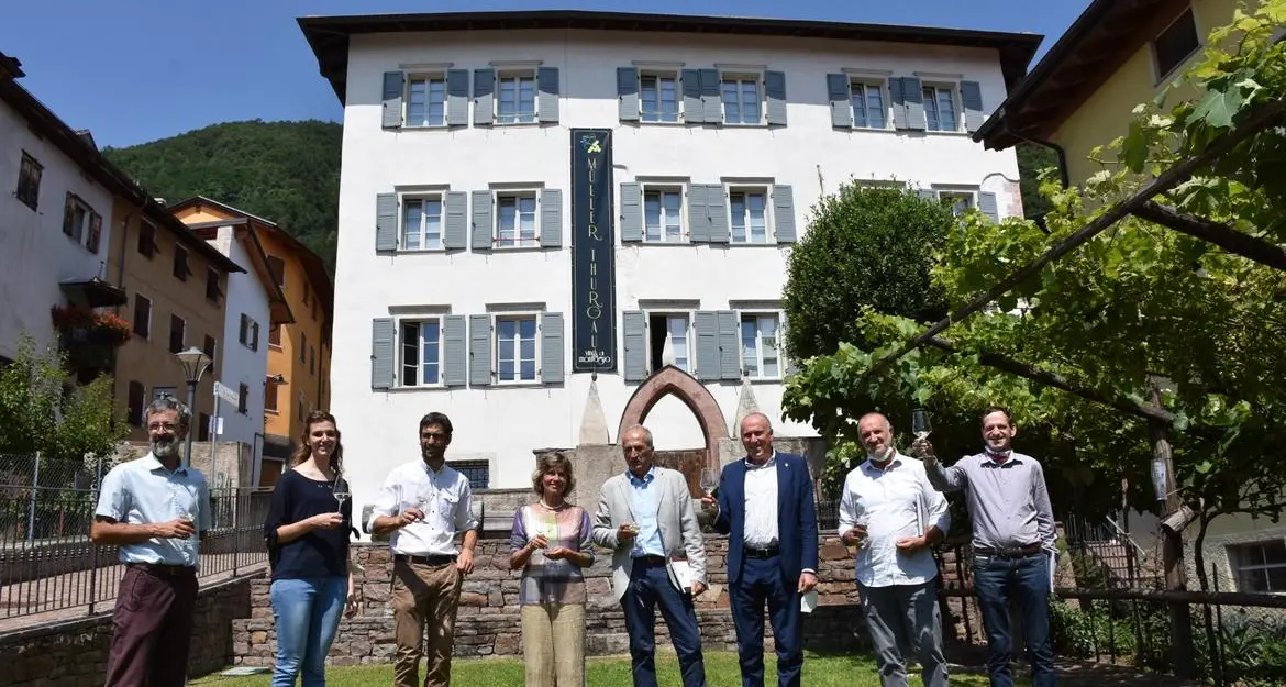 Alle “Olimpiadi” dei Müller Thurgau assegnate 17 medaglie d’oro
