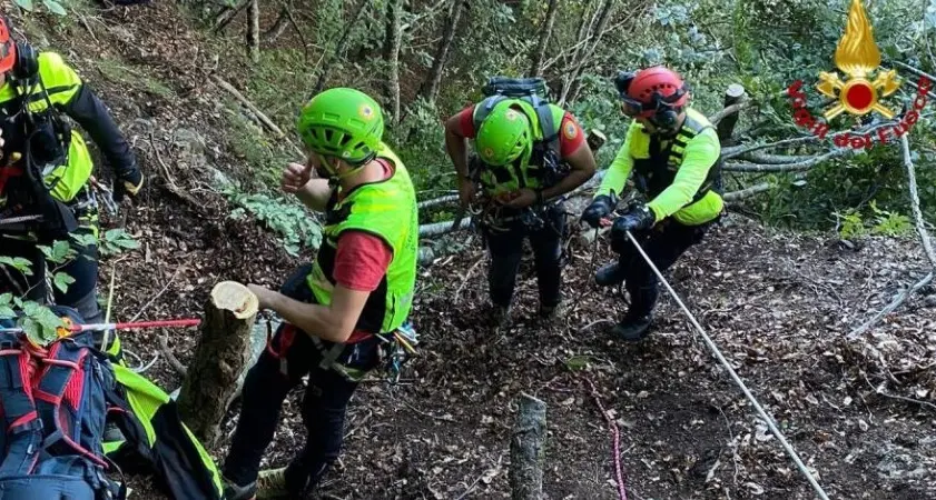 Cade da un albero durante i lavori a una capanna, ferito cacciatore di 75 anni