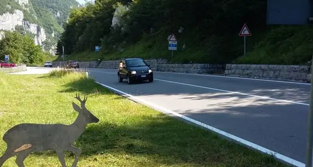 In Trentino nuovi cartelli stradali dove attraversano gli animali selvatici