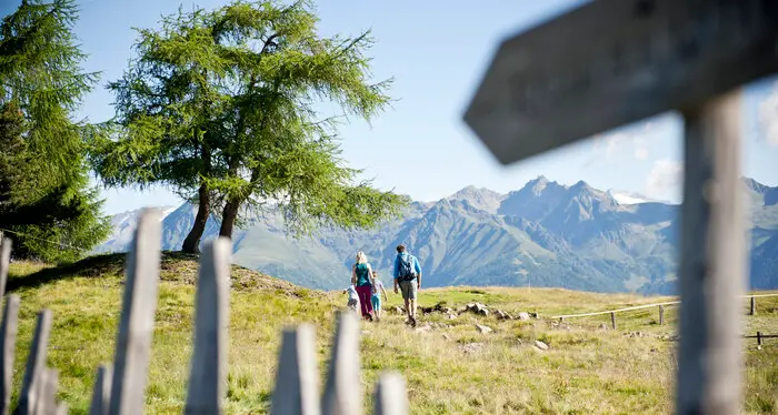 Monte Baldo, sette malghe in cerca di nuovi gestori