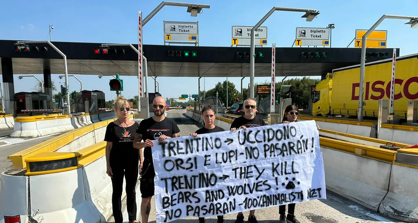 Animalisti in autostrada contro la politica trentina su orsi e lupi