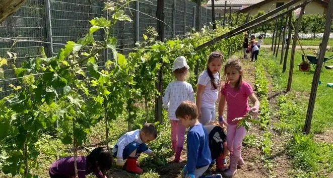 La terza aula dei bimbi di Nomi è nel parco progettato da loro