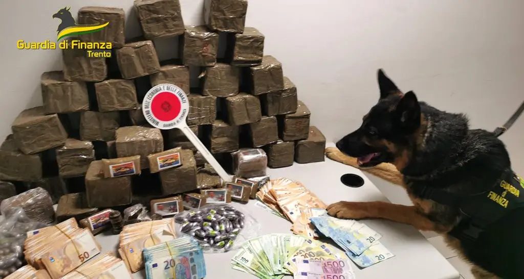 Auto sospetta a Trento sud, la Finanza sequestra 43 chili di hashish e 87mila euro in contanti