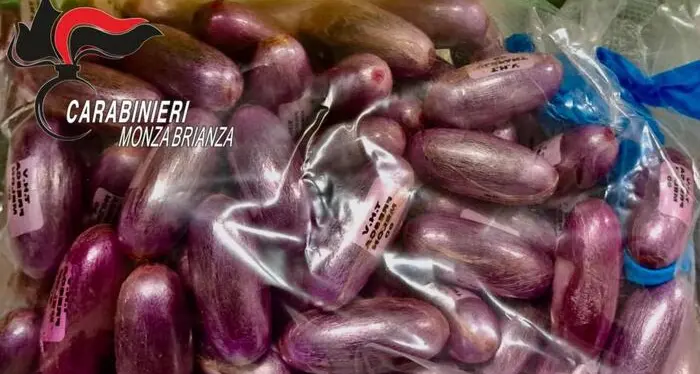 Nascondeva in giardino 22 chili di hashish: «Mi servivano per pagarmi la luna di miele»