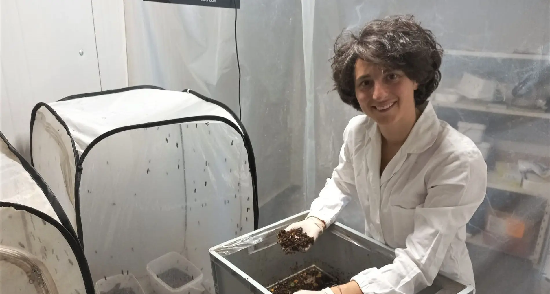 Elena, il sogno sostenibile della «scienziata delle mosche»