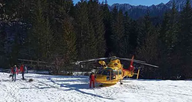 Boscaiolo travolto da una pianta a Tonadico