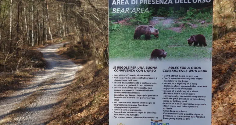 Orsi, gli animalisti bloccano il casello A22 di Verona Nord: «L’incantevole Trentino macchiato dalle scelte politiche»