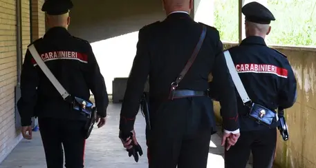 L’attirava con la scusa di farle vedere gli animali, pensionato arrestato per abusi sulla bimba vicina di casa