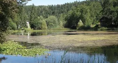 Lago di Cei «infestato» dalle alghe