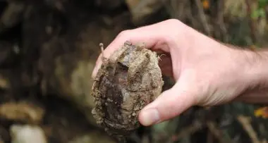 Trova bomba a mano a Folgaria e la riconsegna a Milano
