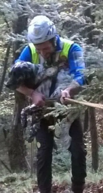 Cane precipita nel dirupo, salvo dopo una settimana