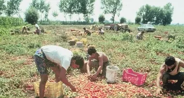 Il Trentino vuole bloccare l'ingresso di lavoratori extracomunitari