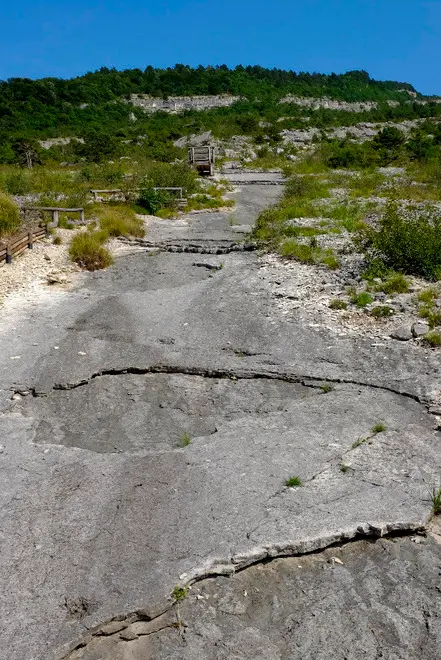 L’Apt punta sui dinosauri ma le piste sono disastrate