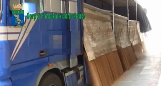 Cereali stivati in carri per rifiuti tossici, 37 denunciati