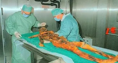 Ricostruito l'ultimo pasto di Oetzi: ha mangiato carne di stambecco