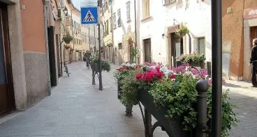 Lavis, i vandali contro le fioriere