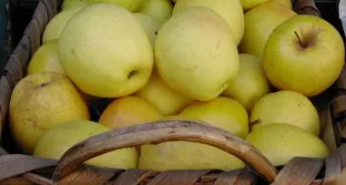 Export, grande ripresa con i nuovi mercati
