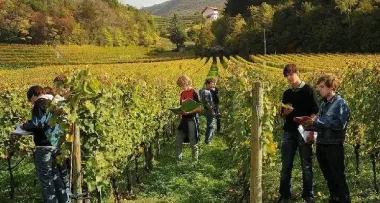Al via il Master sul vino sostenibile