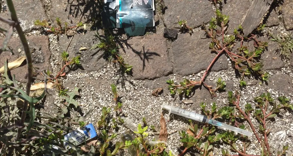 Raccolte nei giardini di Trento 3500 siringhe in 5 anni