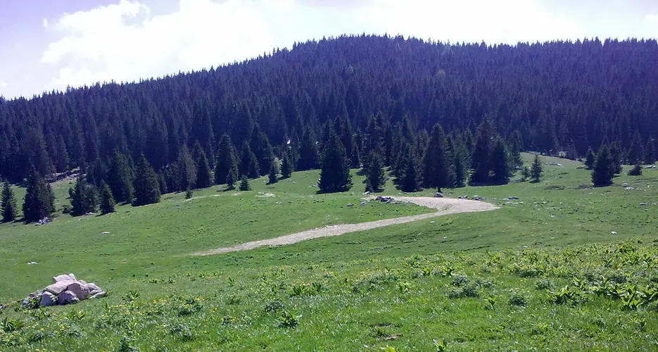 «Sei ore persa nel bosco, che terrore»