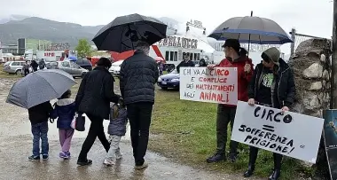 Rovereto, sit-in contro il circo
