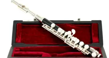 Rubato un ottavino da ottomila euro