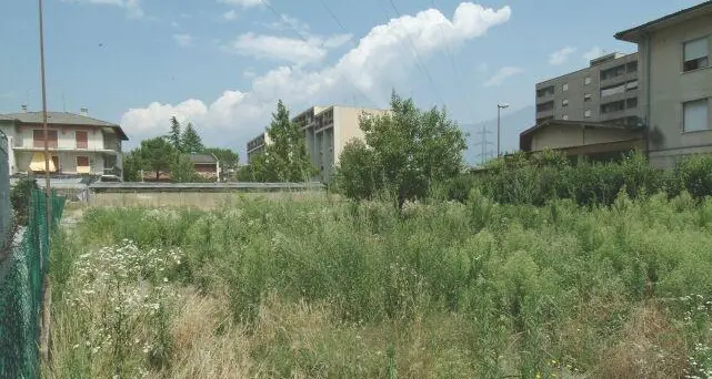 Fiorini: «Un Superstore a Riva entro il 2014»