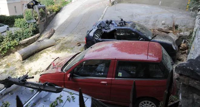 Albero cade sulle auto in sosta