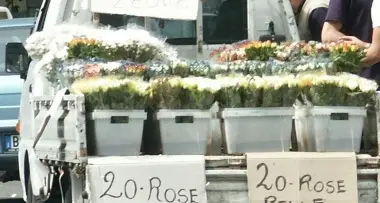 Fiorai ambulanti evasori totali