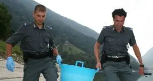 Lago di Garda, controlli sulle anguille \"spiaggiate\"