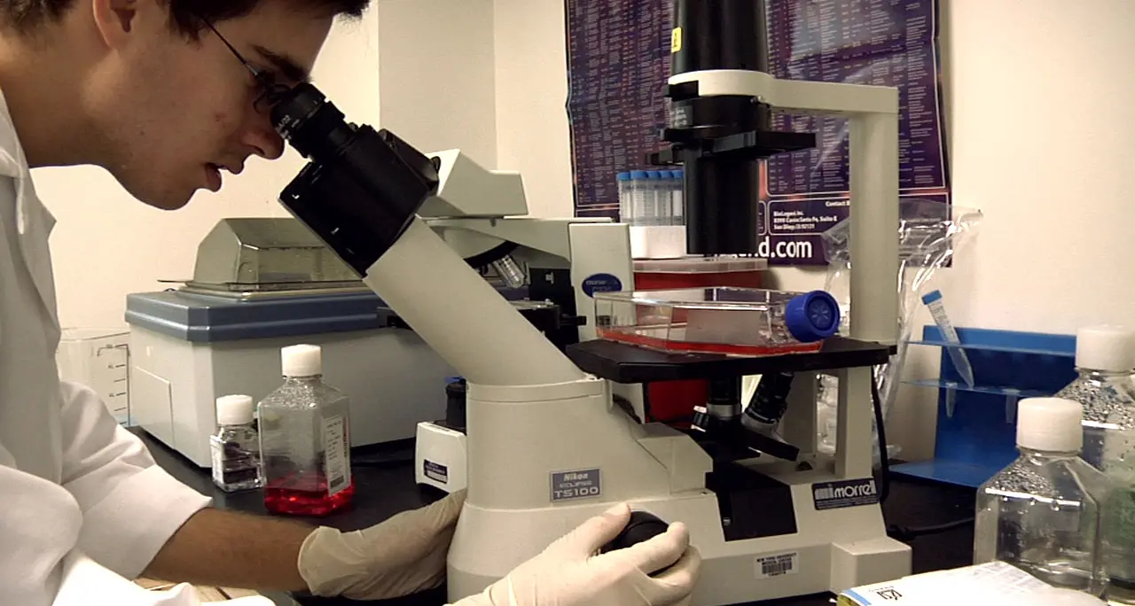 Cancro, scoperta trentina