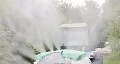 Scopazzi, al bando il pesticida dei meli