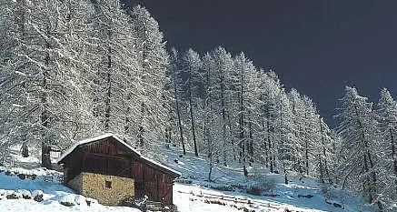 Parco dello Stelvio, ambientalisti contro Gilmozzi